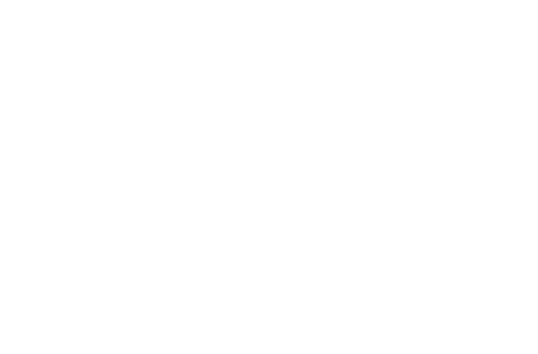 logo_0001_aloha-spa-yankee