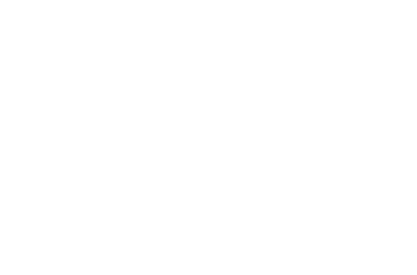 logo_0007_aloha-spa-solinotes