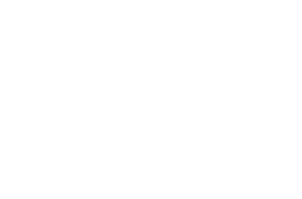 logo_0008_aloha-spa-rodrigues