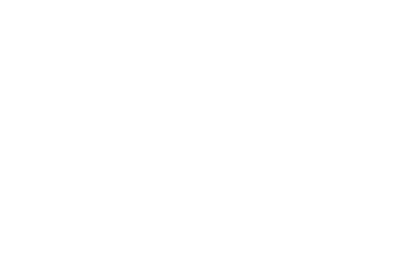 logo_0013_aloha-spa-nina-ricci