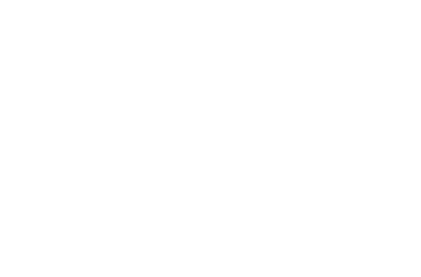 logo_0032_aloha-spa-deborah