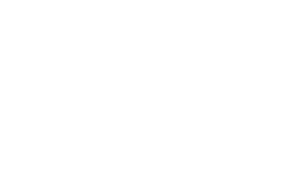 logo_0036_aloha-spa-antinomie